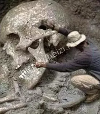 巨人遗骸挖掘内幕