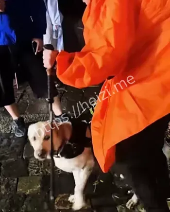 盲人携导盲犬爬泰山